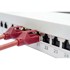 DIGITUS Patch panel Professional DN-91624S-EA, 1U, 19"